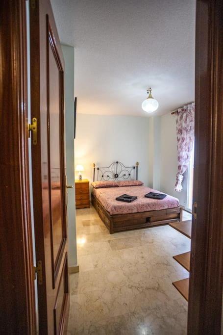 Elvira 81 Apartament *